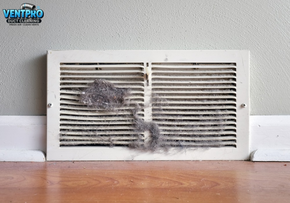 Cedar pollen traffic dust and dry seasons increase buildup