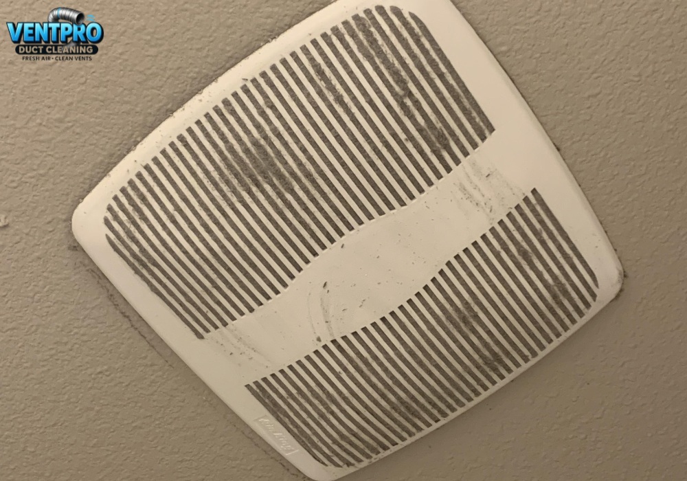 Simple habits help slow dust buildup year round